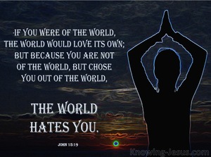 John 15:19